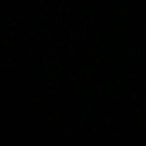 Meet your Posher, Miranda